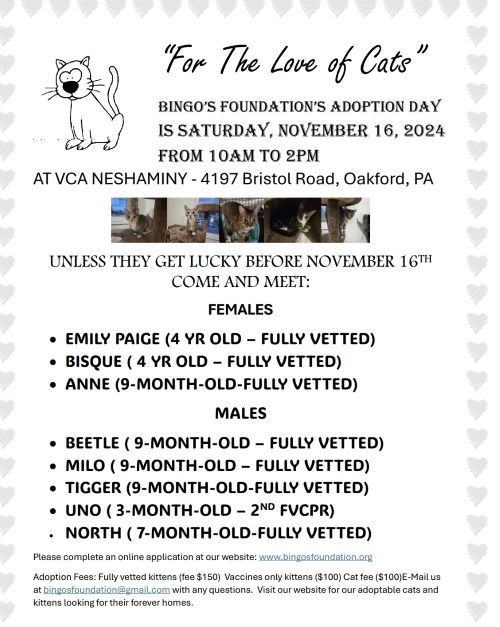 Bingo's Foundation's Adoption Day "For the Love of Cats"